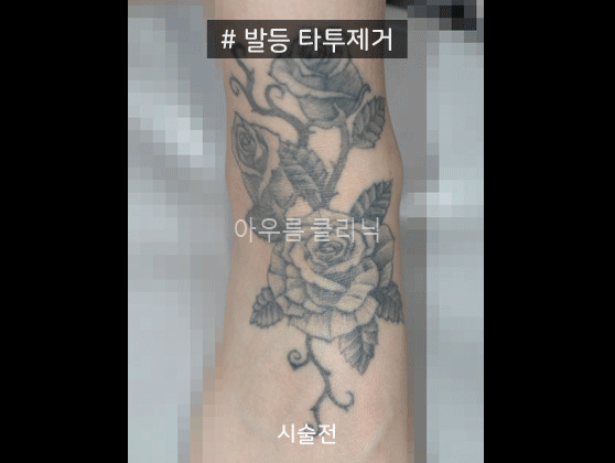 원문 이미지 18