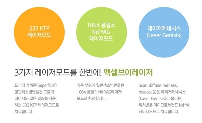 진단 과정